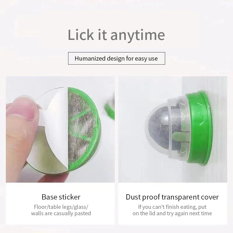 Catnip Wall Ball – Rotating Licking Toy for Dental Health & Playtime