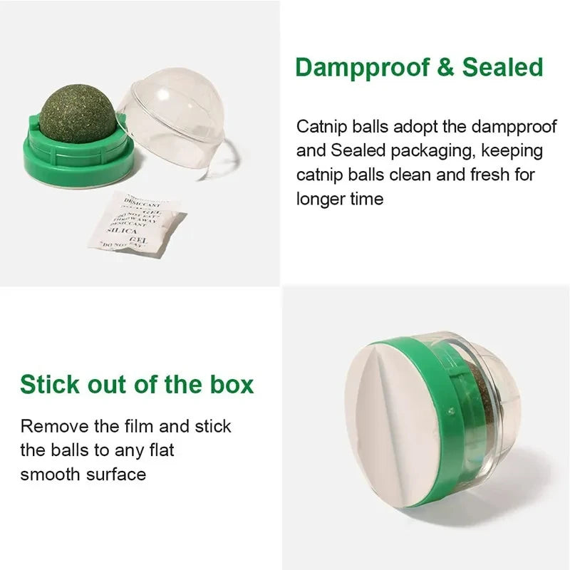 Catnip Wall Ball – Rotating Licking Toy for Dental Health & Playtime