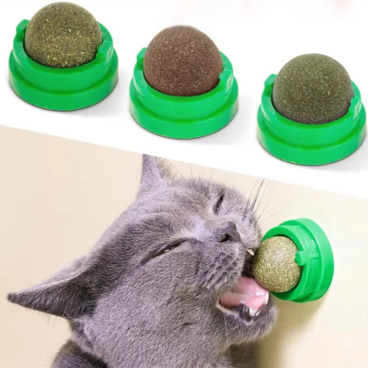 Catnip Wall Ball – Rotating Licking Toy for Dental Health & Playtime