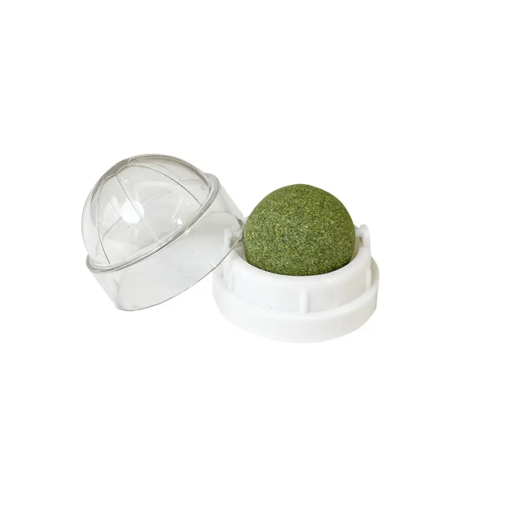 Catnip Wall Ball – Rotating Licking Toy for Dental Health & Playtime