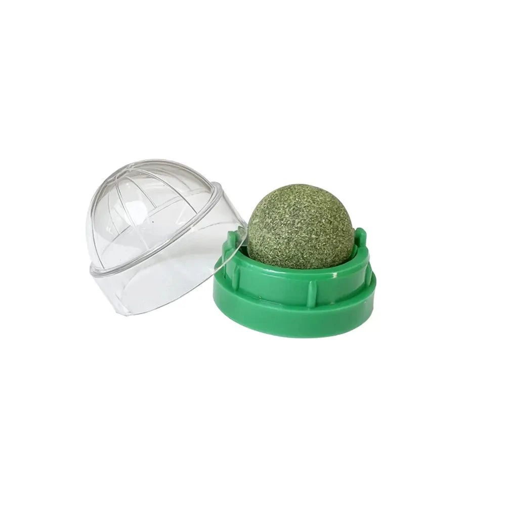 Catnip Wall Ball – Rotating Licking Toy for Dental Health & Playtime
